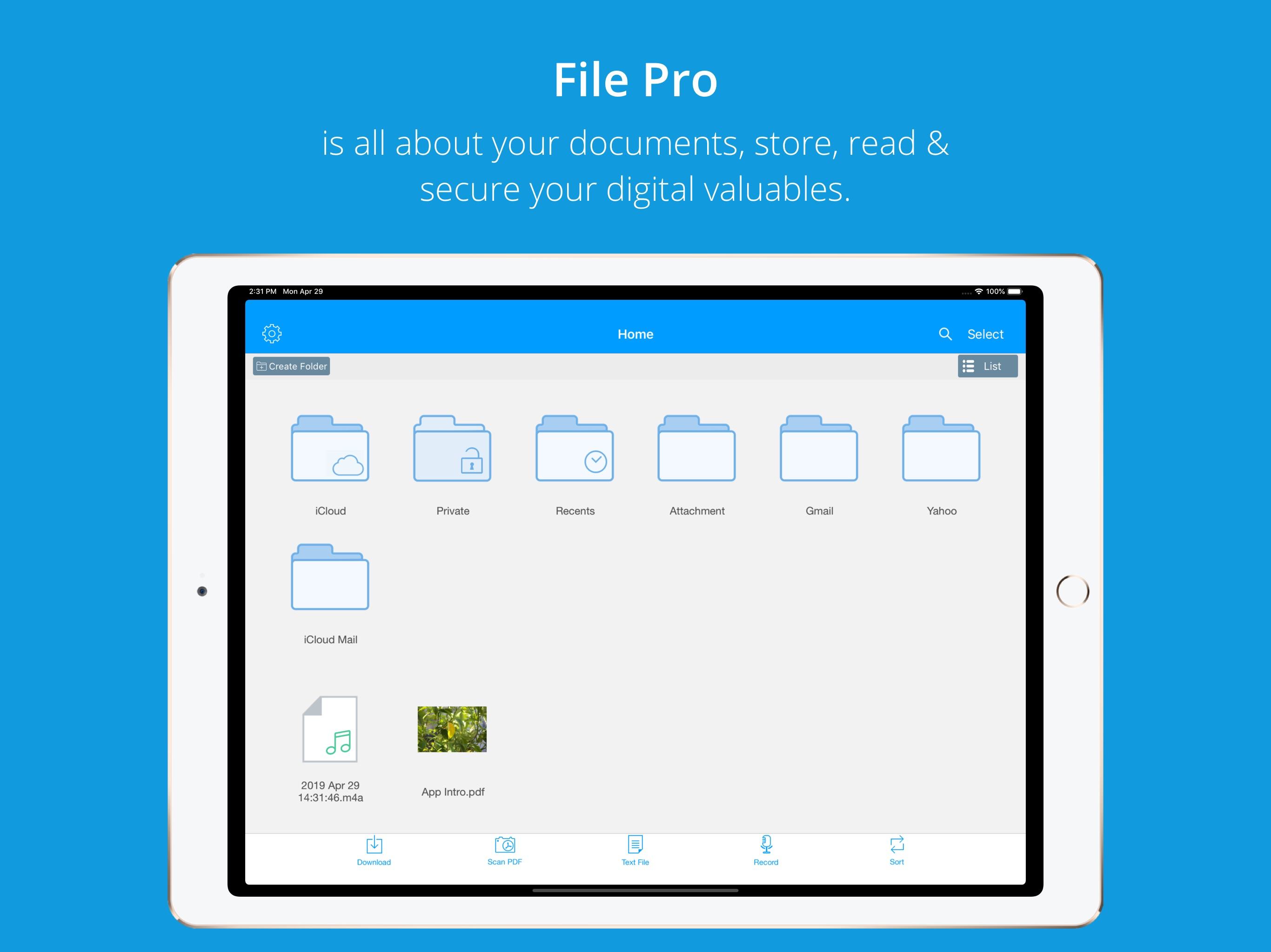 File Pro Mini screenshot 6