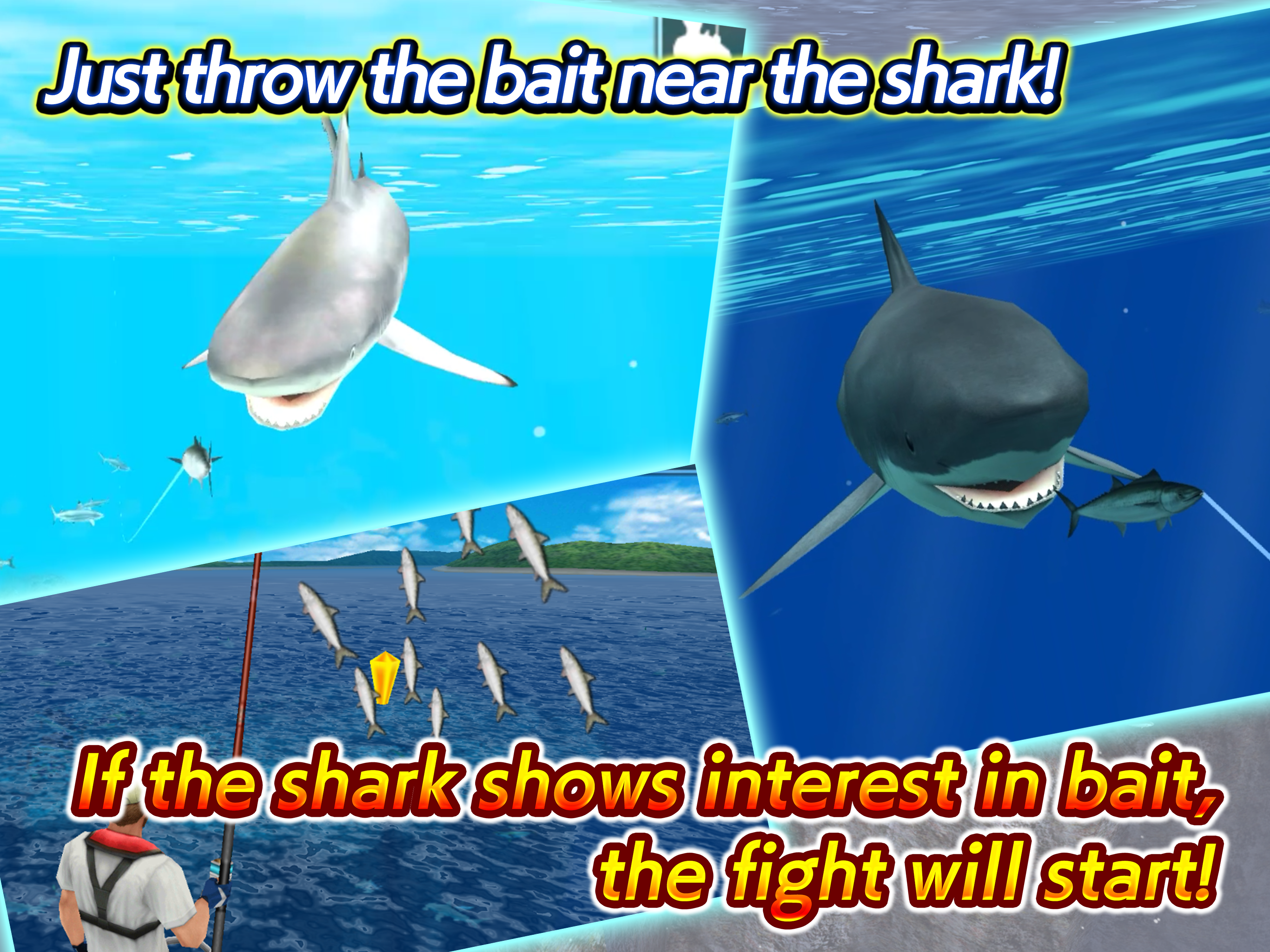Wild Shark Fishing screenshot 8