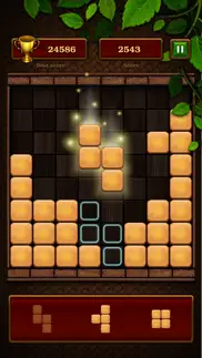 block puzzle: classic bricks iphone screenshot 2