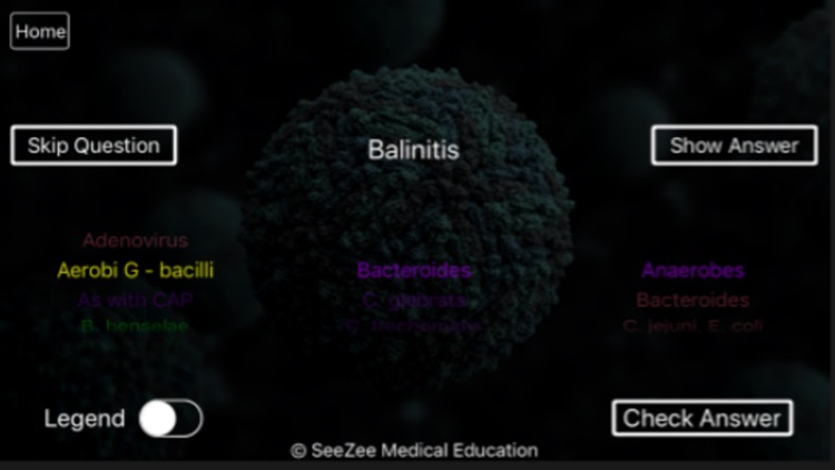 SeeZees Bad Bugs screenshot-3