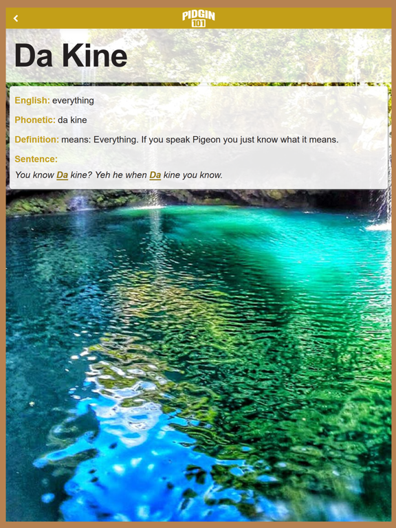 Pidgin 101 App iPad screenshot 4 - Reference app