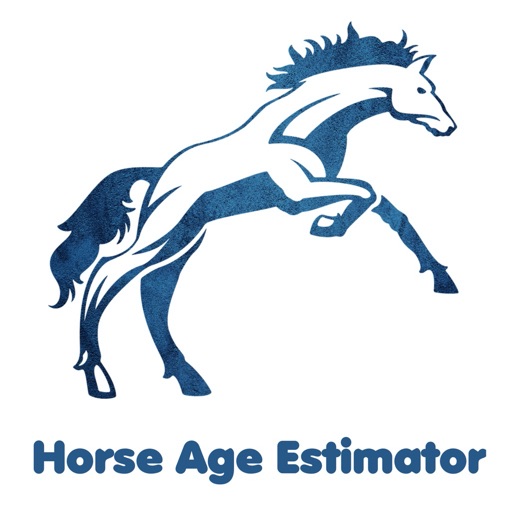 Horse Age Estimator