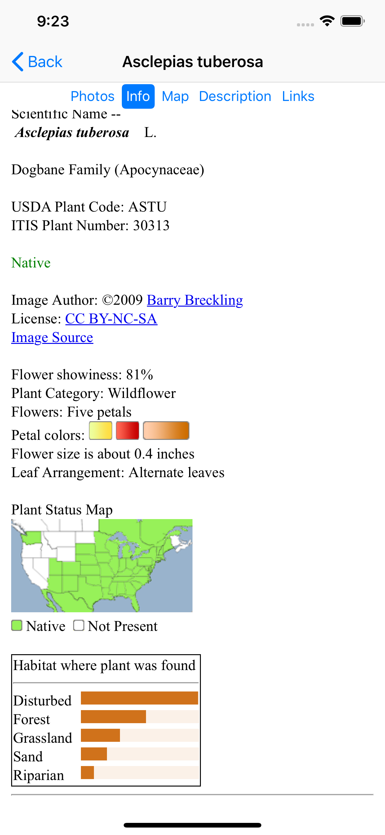 Virginia Wildflowers