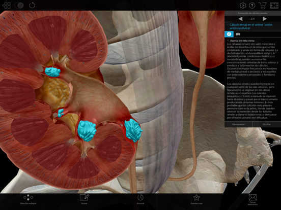 Fisiología & Patología App Store preview screenshot 14
