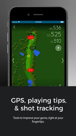 Game screenshot Terry Hills Golf Course hack
