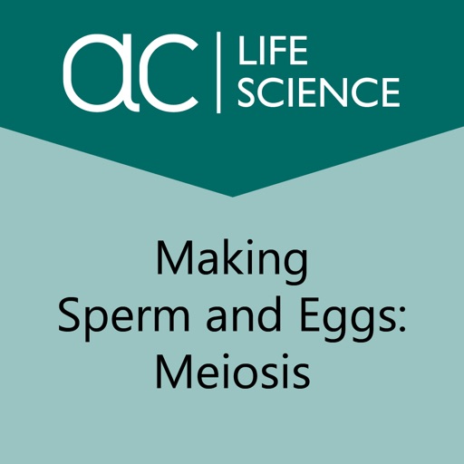 Making Sperm and Eggs: Meiosis icon