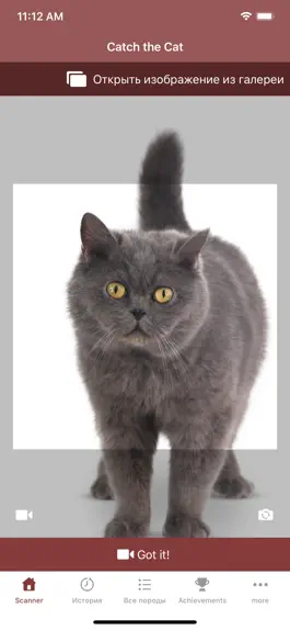 Game screenshot Cat Scanner mod apk
