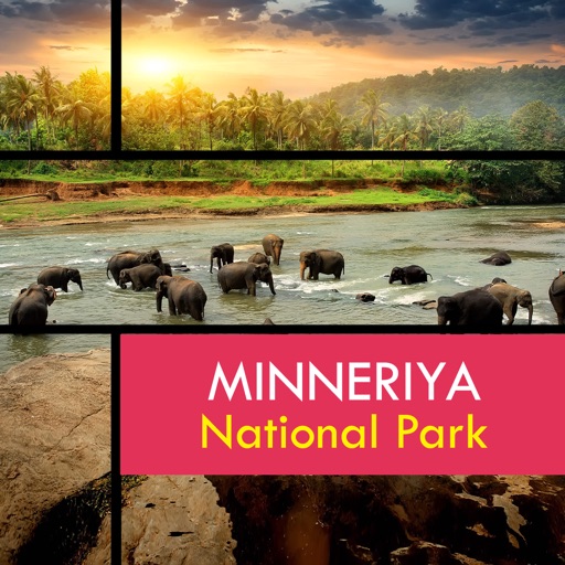 Minneriya National Park icon