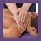 This APP contents additional material of the book Anatomy & Sports Massage