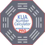 Kua Number Calculator Pro App Contact