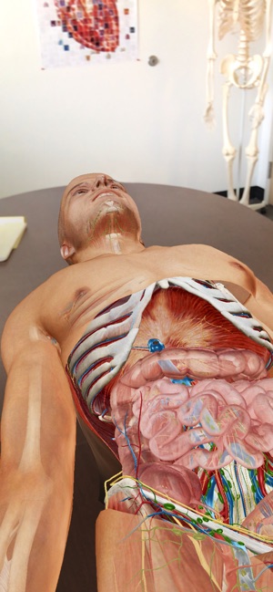 Human Anatomy Atlas 2019(圖6)-速報App