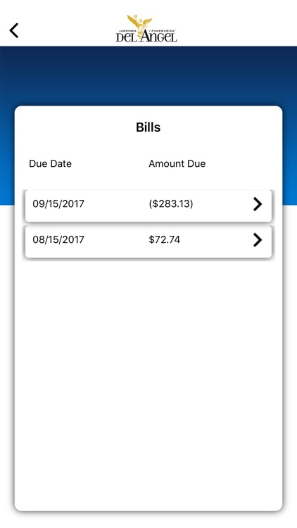 Del Angel Bill Pay screenshot-6