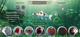 Game screenshot My Koi apk