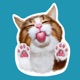 Rexiecat app icon - Stickers app for iPhone