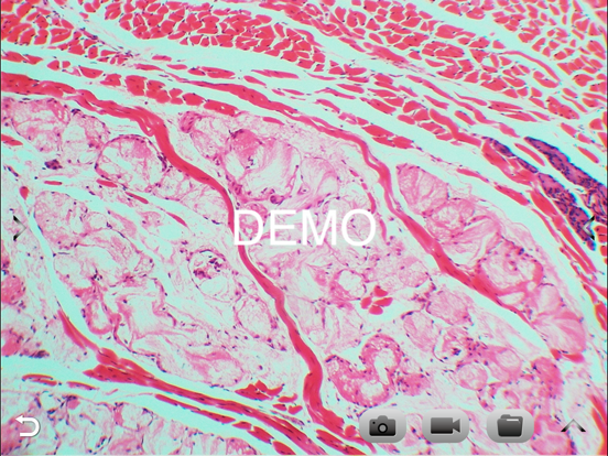 Screenshot #5 pour SKYE View