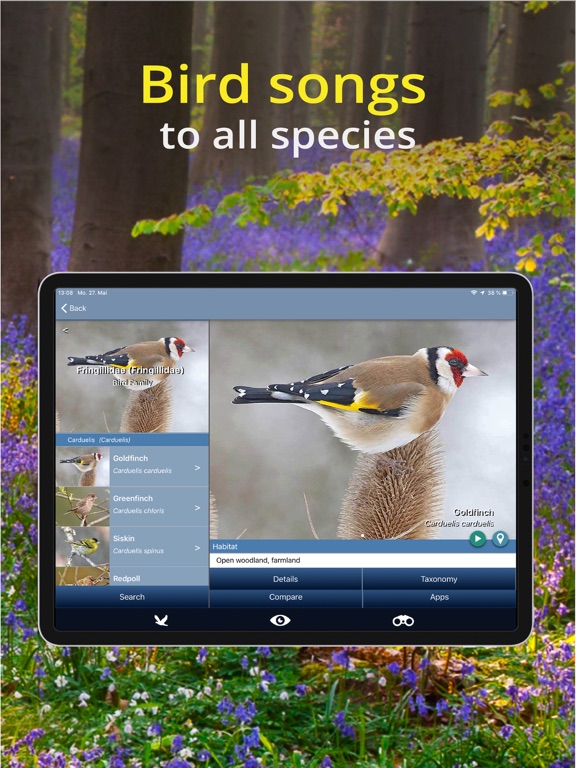 Bird Id - British Isles birds iPad screenshot 5 - Reference app