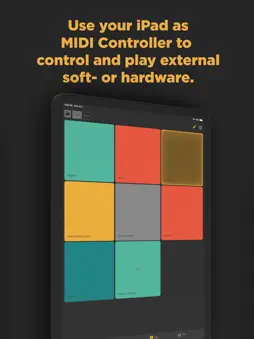 Midi Controller - Remote & USB screenshot 9
