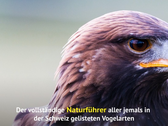 Screenshot #5 pour Alle Vögel Schweiz - Fotoguide