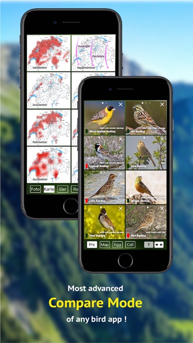 All birds CH - photo guide Screenshot