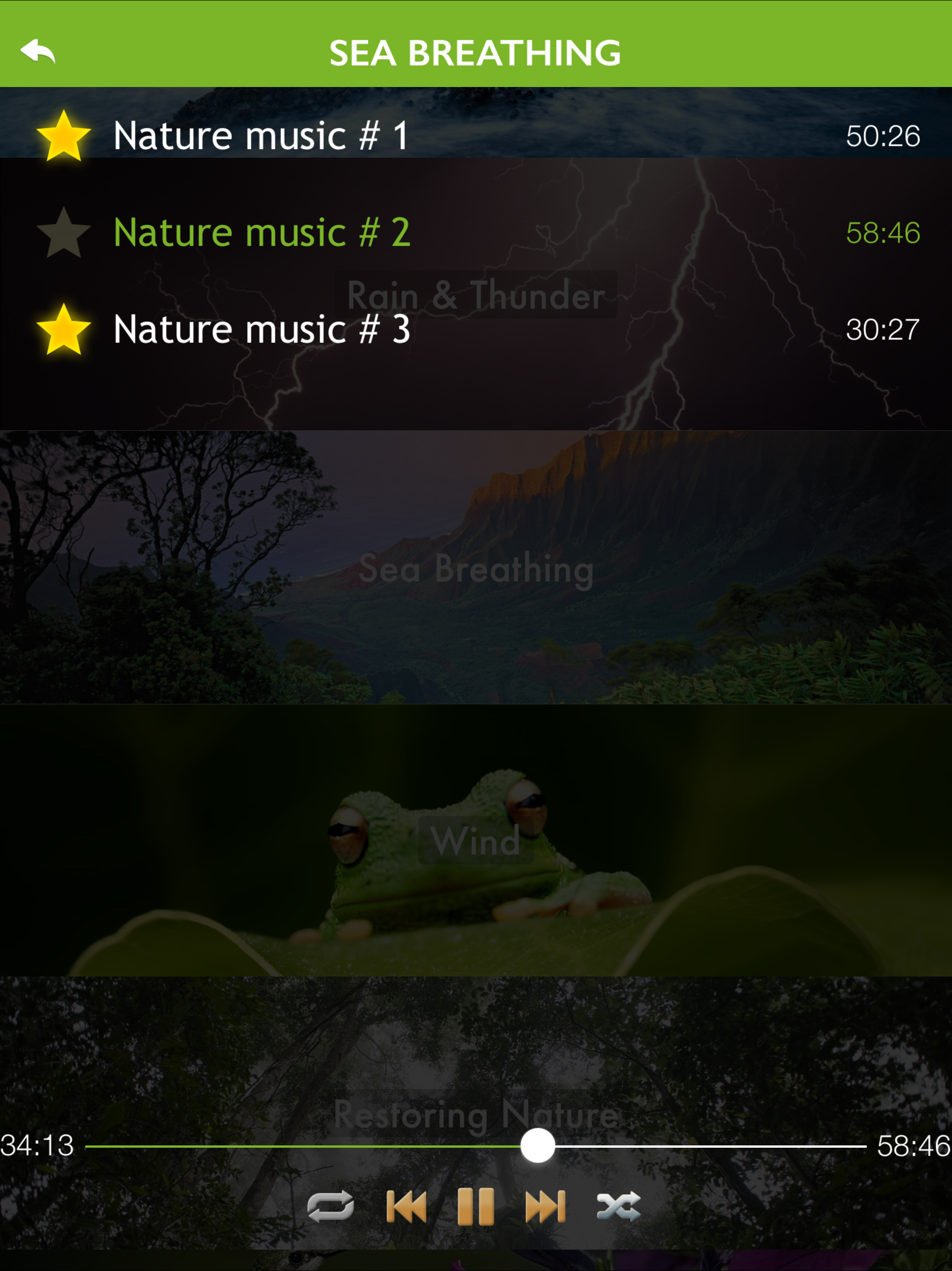 Nature Music - Relaxing Sound
