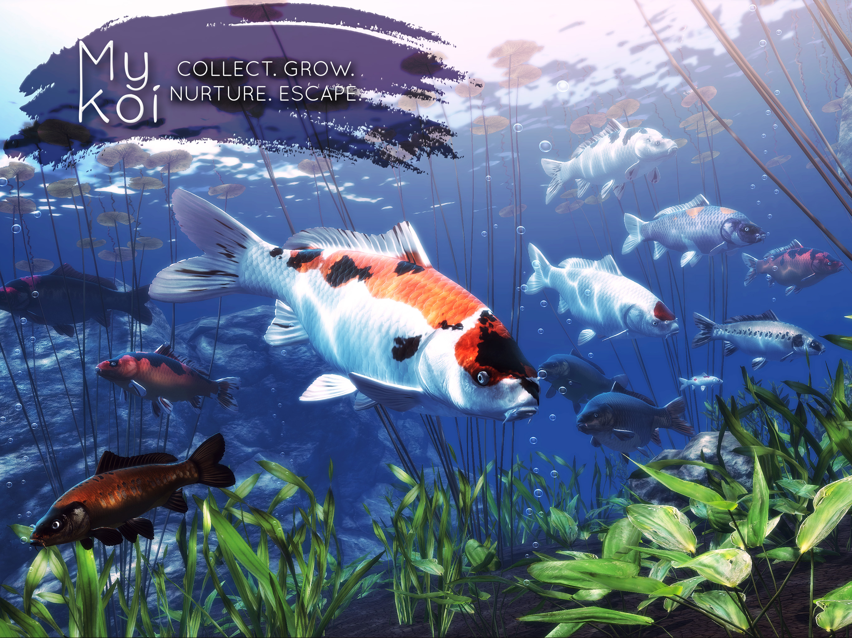 My Koi screenshot 8
