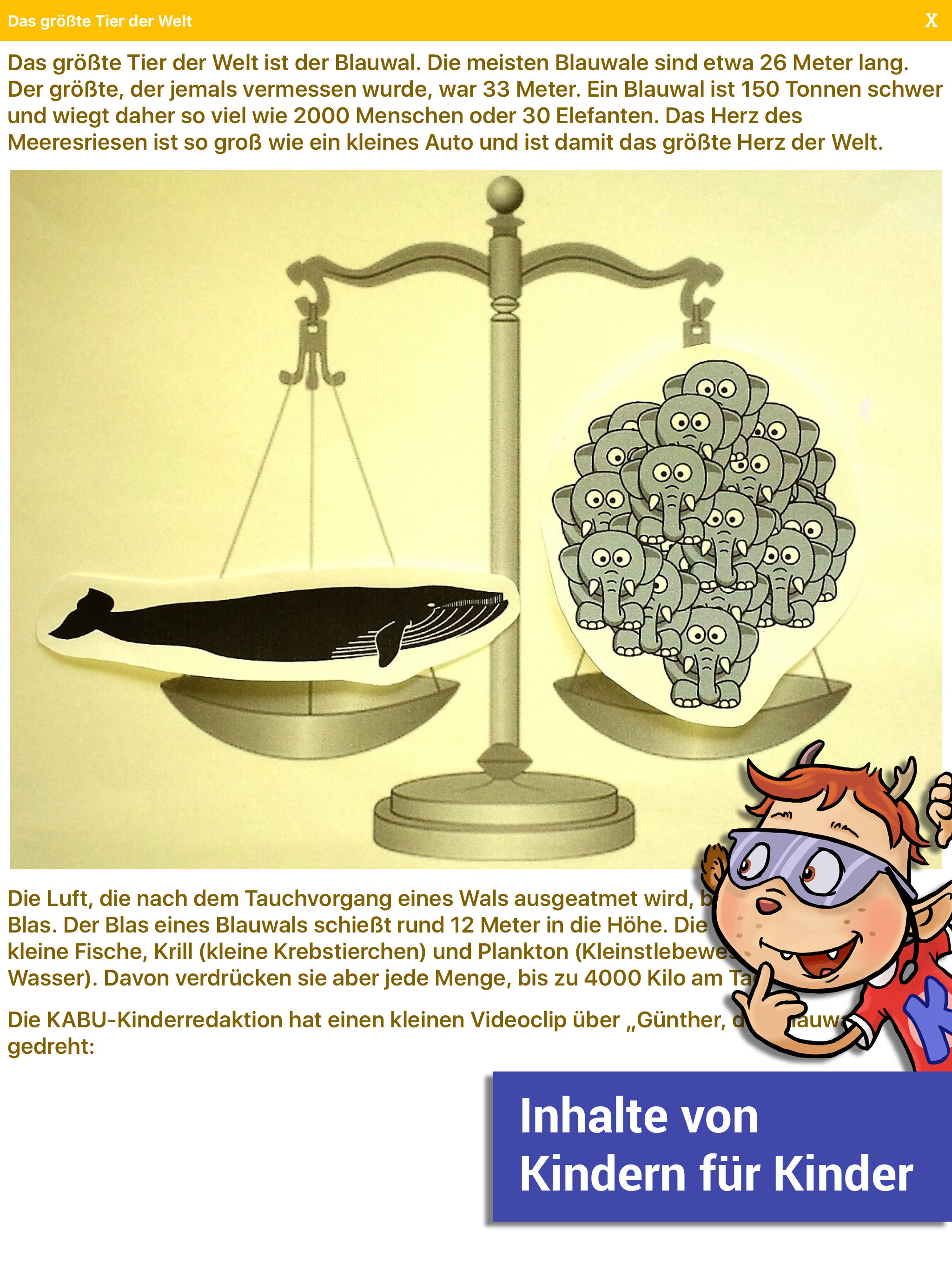 KABU - die Kinder-Info-App screenshot 7