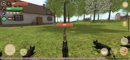 Game screenshot Cat Simulator 2020 apk