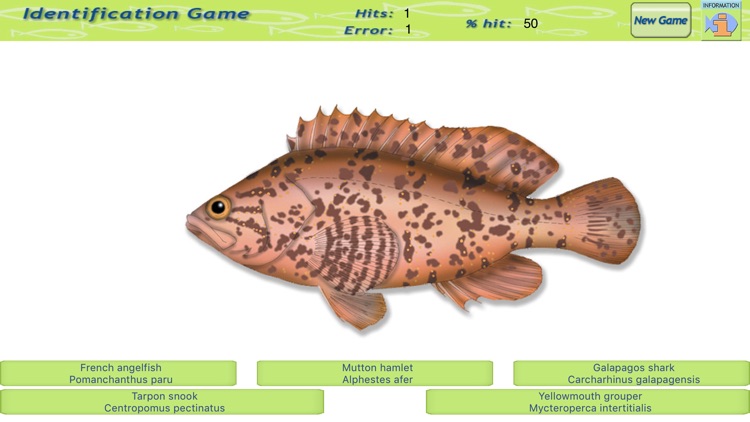 Game Fish Identification