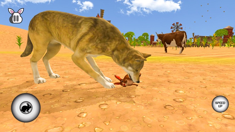 My Rabbit Bunny Simulator