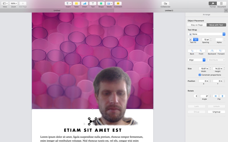 ShareDesktop screenshot