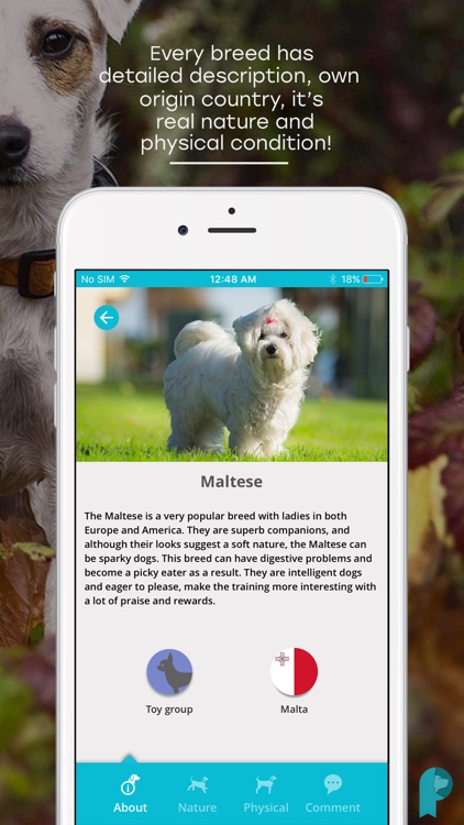 Pawer – All-In-One Dog App screenshot-5