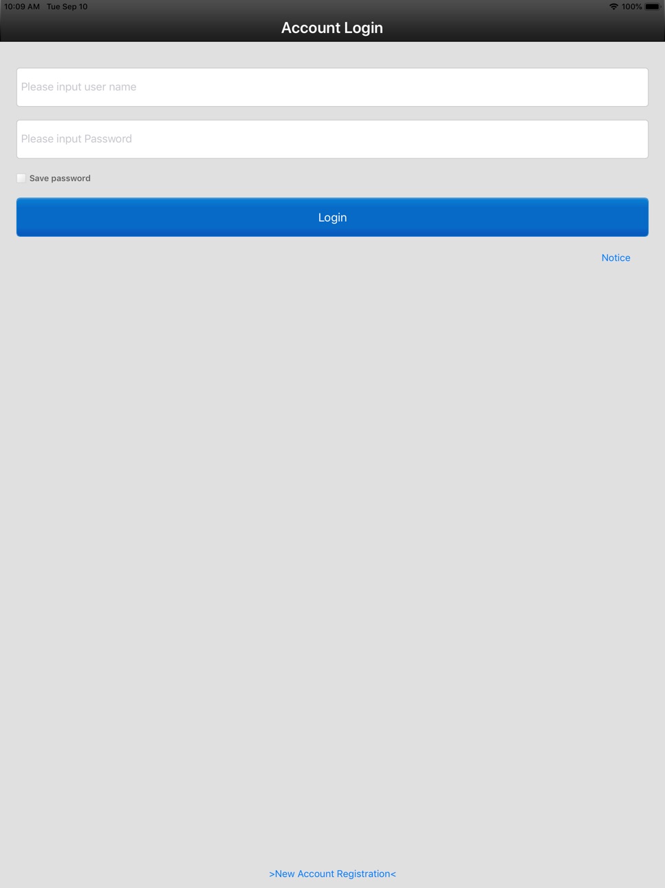 iPad screenshot