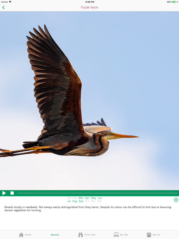 Screenshot #5 pour Birdwatching Narbonnaise