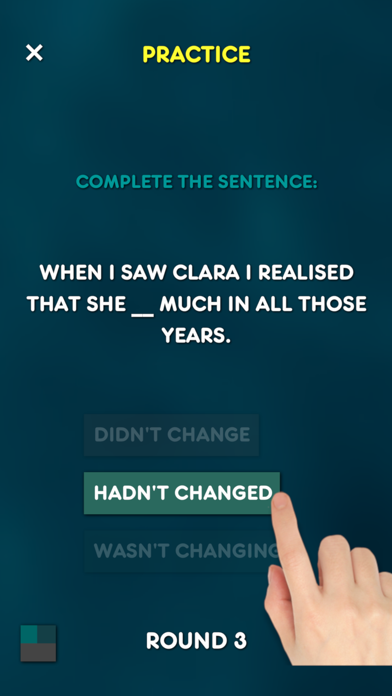 Past Tenses - Grammar Test Screenshot 6