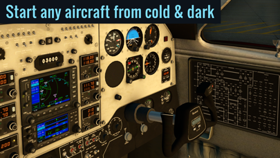 Screenshot from X-Plane Flight Simulator