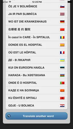 Offline Translate screenshot 4