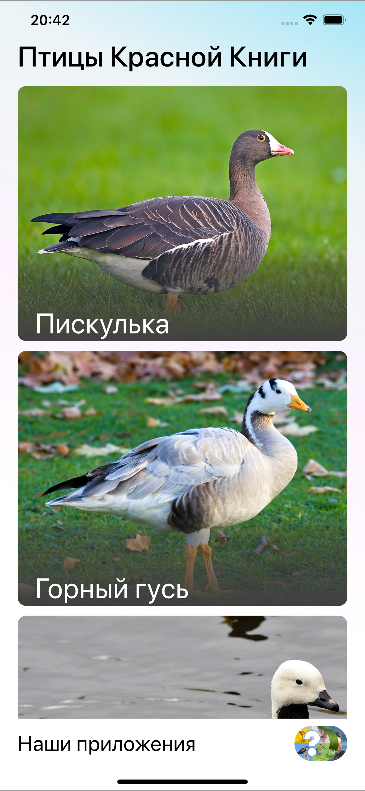 Птицы Красной Книги России screenshot 7