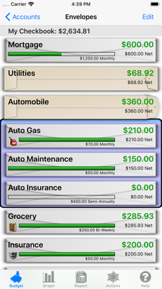 Budget Touch screenshot 2