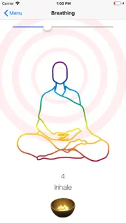 hara - play and meditation problems & solutions and troubleshooting guide - 3