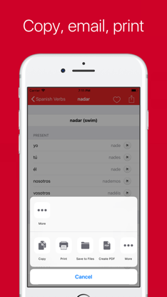 Spanish Verb Conjugator screenshot 3