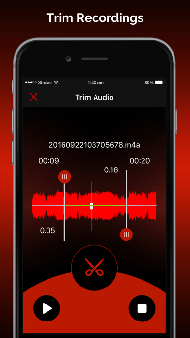 Screenshot #2 pour Quick Recorder: Voice Recorder