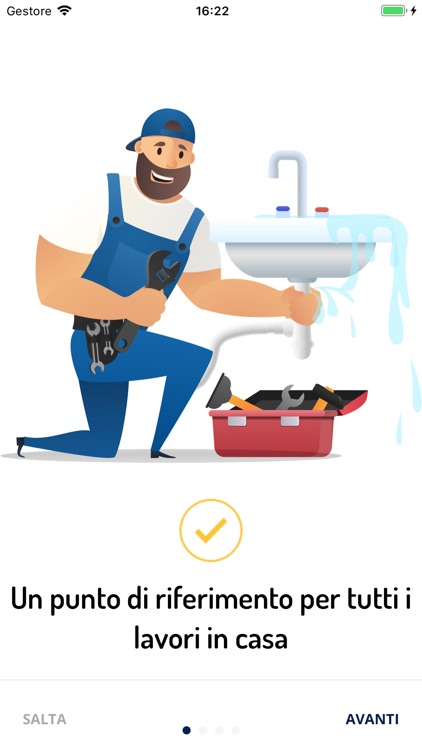 Il Marito in Affitto