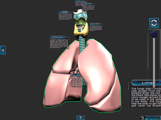 Human anatomy system & parts iPad screenshot 5 - Education app