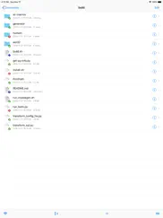 isvn lite айпад изображения 1