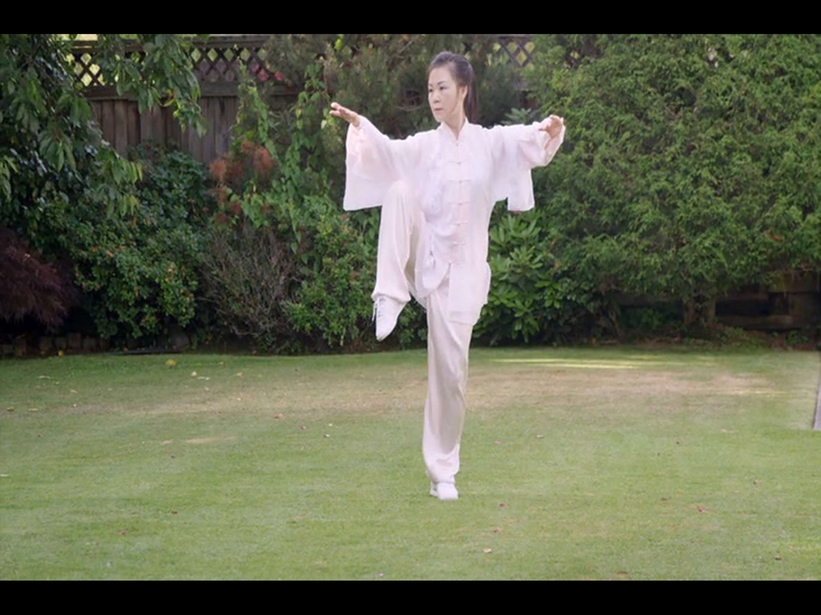 Tai Chi for Beginners 48 Form