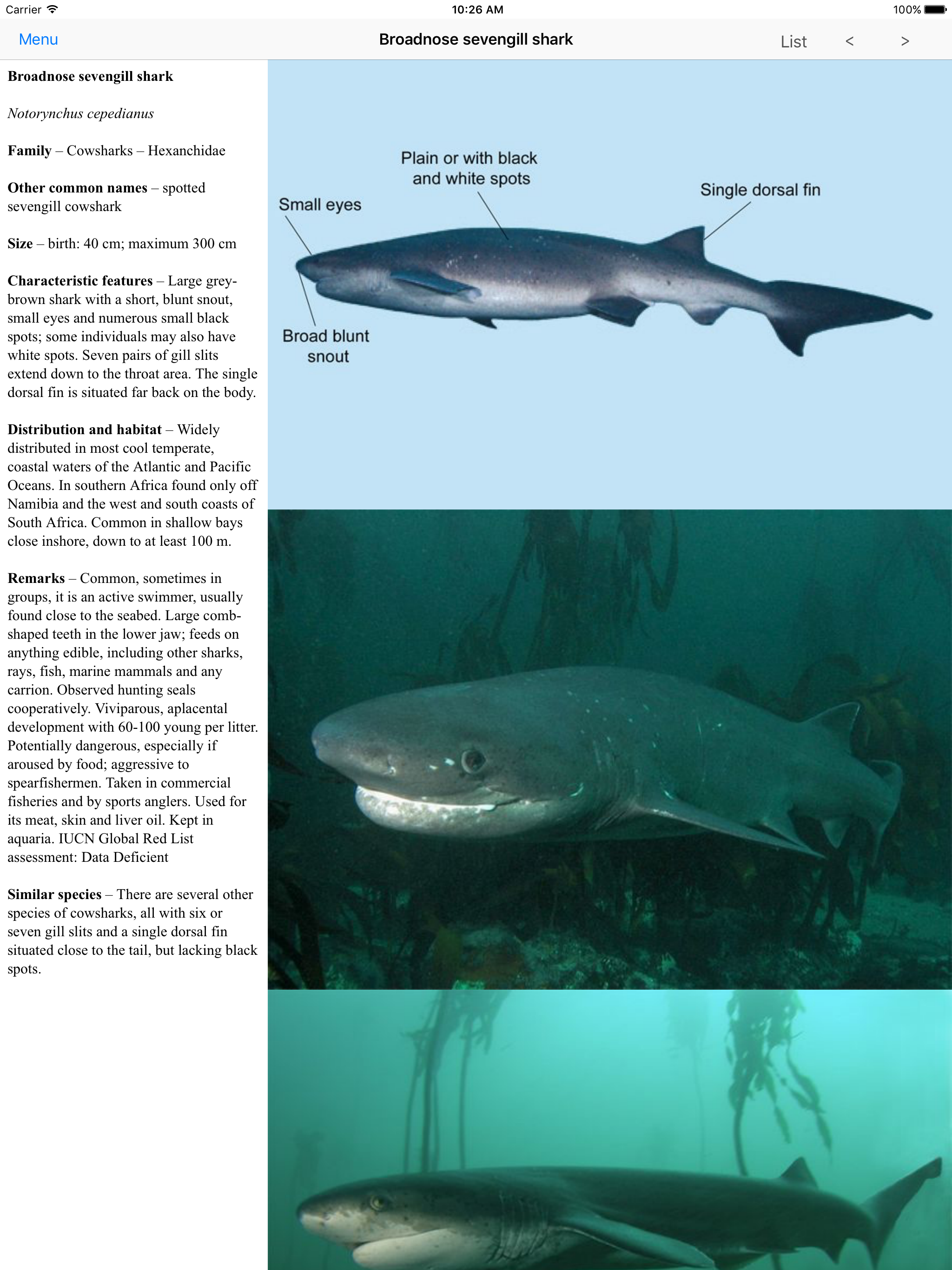 eGuide to Sharks and Rays screenshot 5