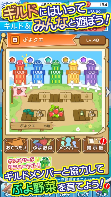 ぷよぷよ!!クエスト -簡単操作で大連鎖。爽快 パズル!