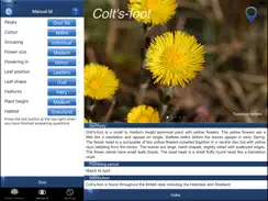 Wild Flower Id British Isles iPad image 3