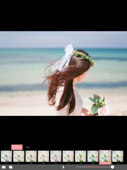 Analog Wedding screenshot 8