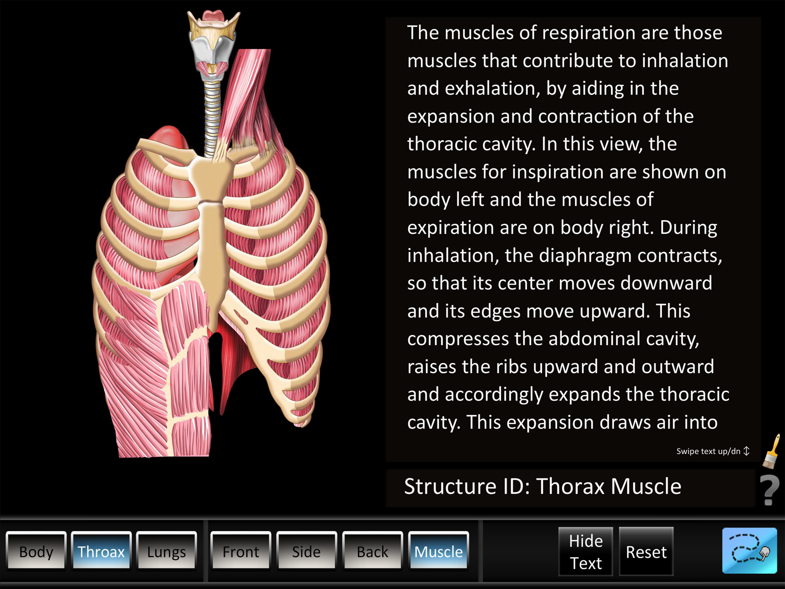 Respiration ID screenshot 10